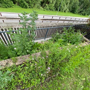 Private Ferienwohnung